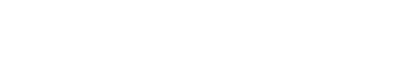 Vivid